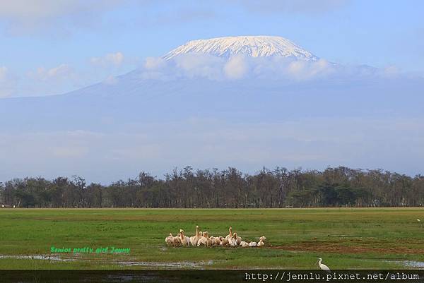 8 1 Amboseli (7).JPG