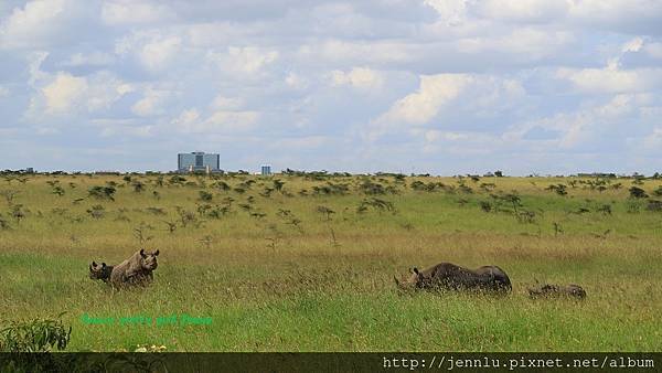 8 2 Nairobi National Park (8).JPG