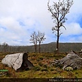 4 1 Way to Cradle Mountain.JPG