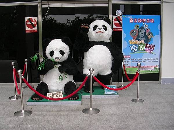 教育中心前的熊貓.jpg