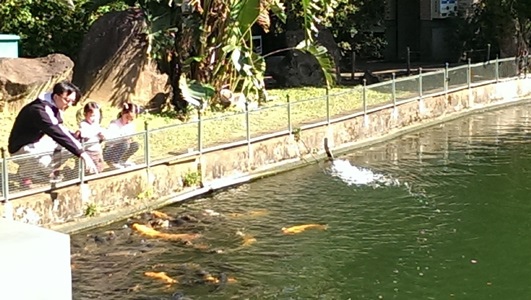 寧溜冰23 寧溜冰23