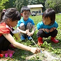 20150418-19-第六露-野馬愛露營-苗栗南庄祕境-07.jpg