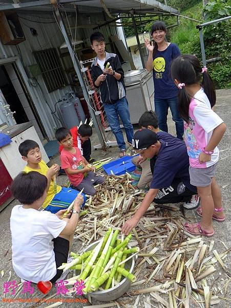 20150425-26-第七露-安靜團-苗栗大興那那布荷-21.jpg