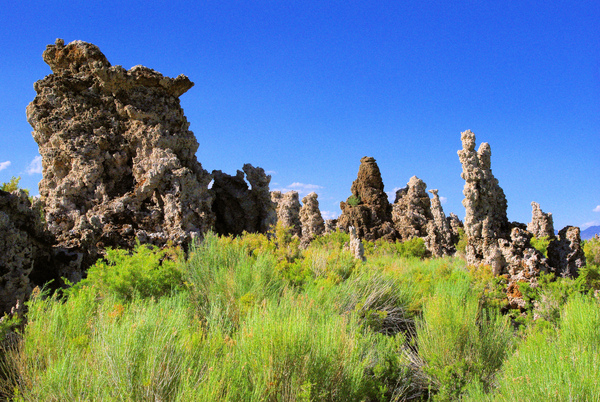 Mono Lake 13.jpg