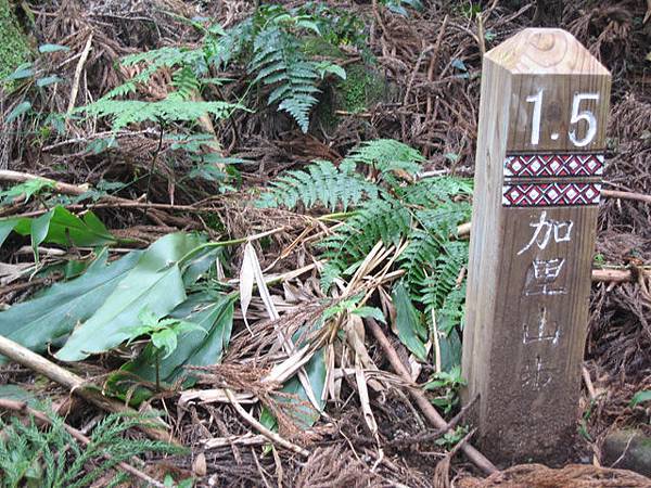 1.5KM里程碑