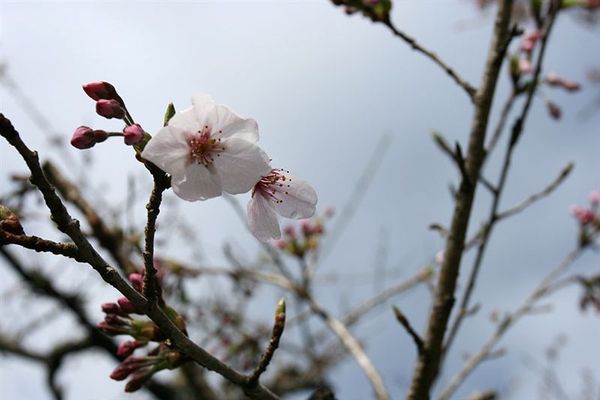 阿里山賓館