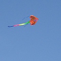 藍天下的風箏.JPG