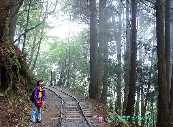 特富野10.JPG