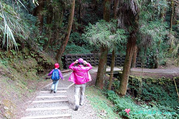 特富野11.JPG