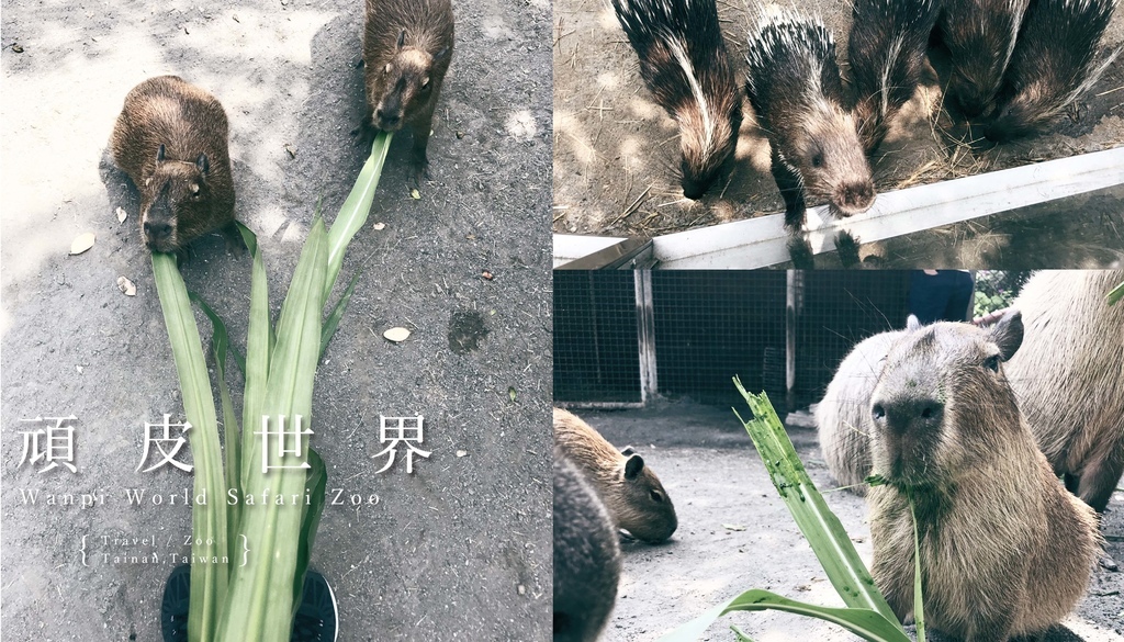 未命名-1.jpg 未命名-1.jpg