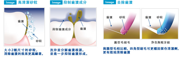 img_mechanism2