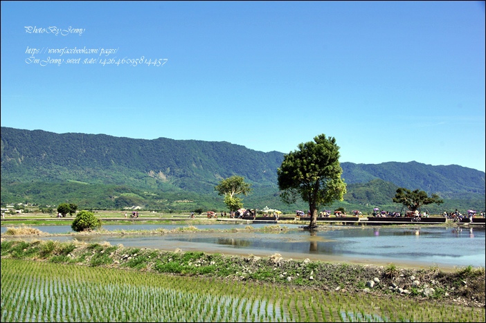 DSC05258.JPG DSC05258.JPG