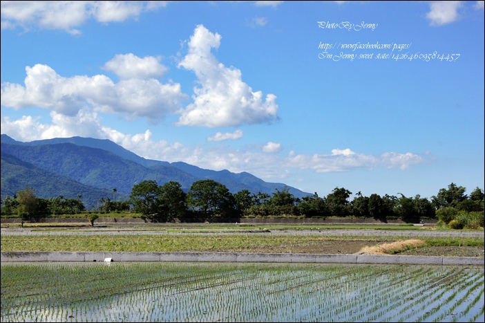 DSC05288.JPG DSC05288.JPG