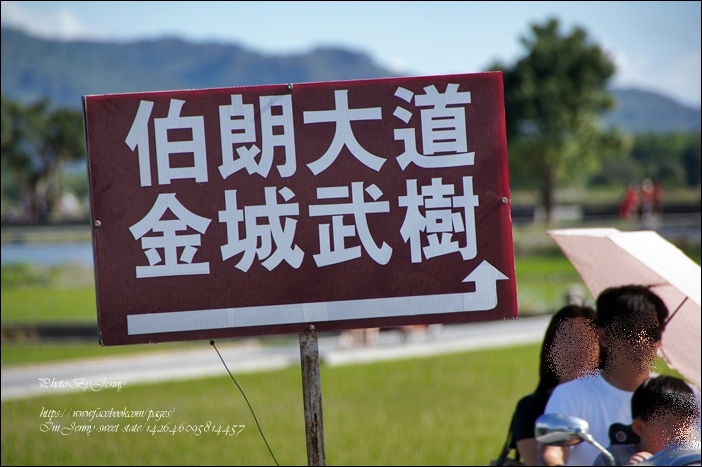 DSC05313.JPG DSC05313.JPG