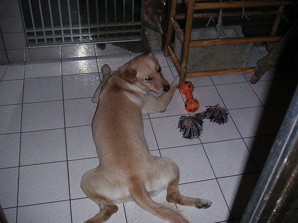 PICT4040.JPG