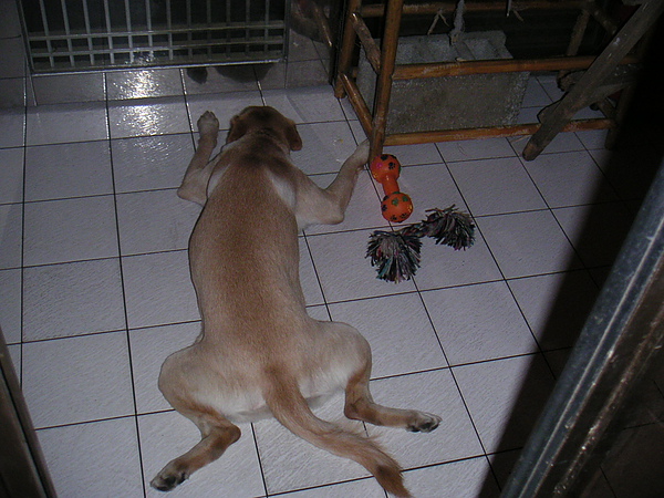PICT4038.JPG