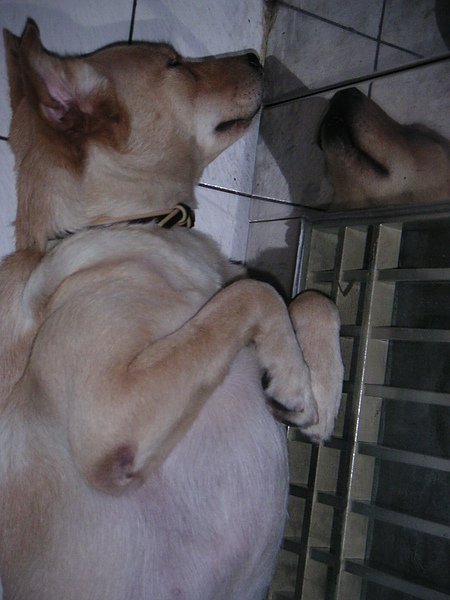 PICT4050.JPG