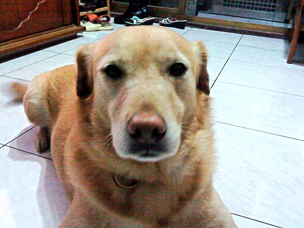 DSC00030.JPG