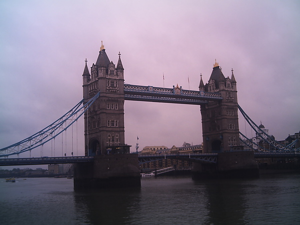 PHTO0135.JPG