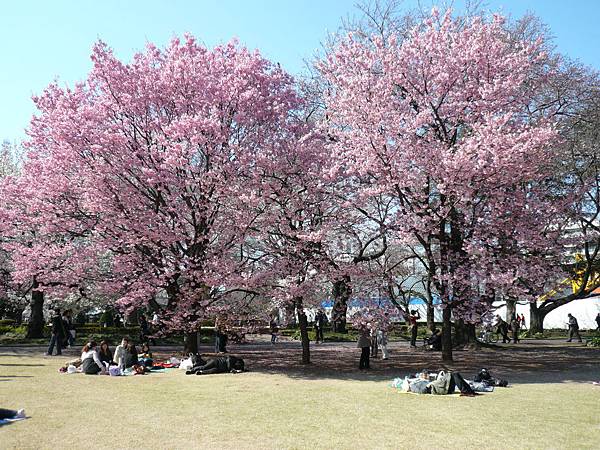 新宿御苑 英式庭園