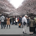 上野恩賜公園