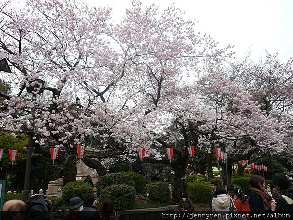 上野恩賜公園