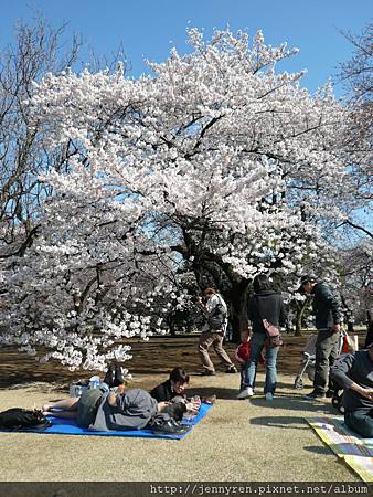 新宿御苑 英式庭園