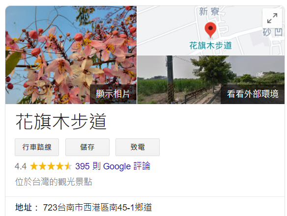 台南打卡景點 西港金砂里花旗木步道炸開的粉嫩浪漫以為來到京都賞櫻花浪漫破表的爆米花串 真思卻夢 真的旅行去