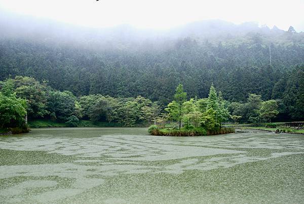 明池森林遊樂區