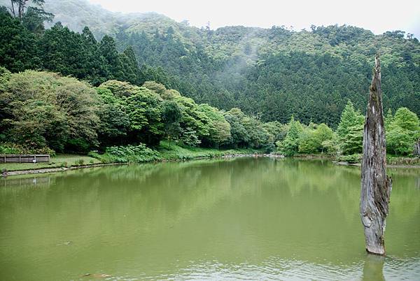 明池森林遊樂區