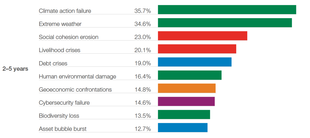 Global Risks Horizon 2-5 years