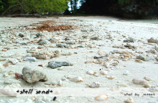 shell-sand