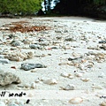 shell-sand