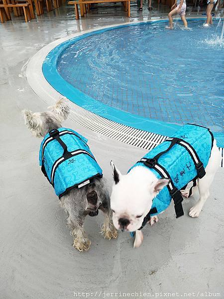 IMG_20180618_172117.jpg IMG_20180618_172117.jpg