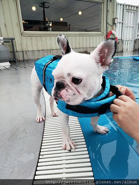 IMG_20180618_172155.jpg IMG_20180618_172155.jpg