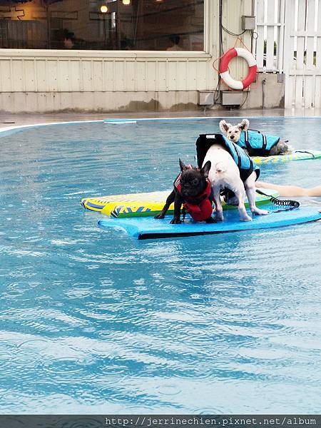 IMG_20180618_174210.jpg IMG_20180618_174210.jpg