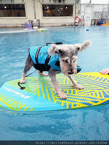 IMG_20180618_174404.jpg IMG_20180618_174404.jpg