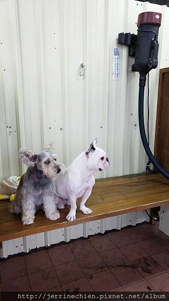 IMG_20180618_183231.jpg IMG_20180618_183231.jpg