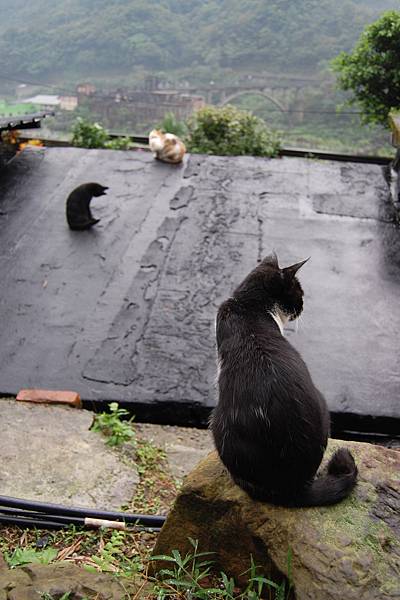 雨終於小了