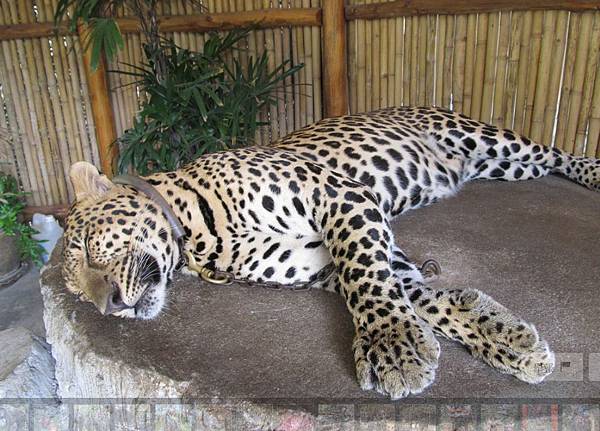 1549289483988.jpg 1549289483988.jpg