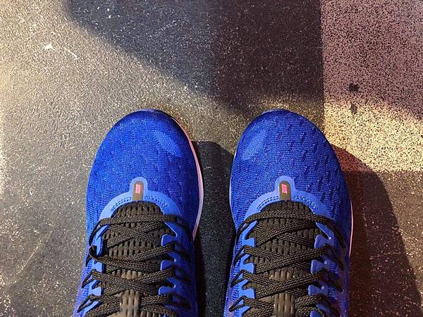 vomero 14 o pegasus 35