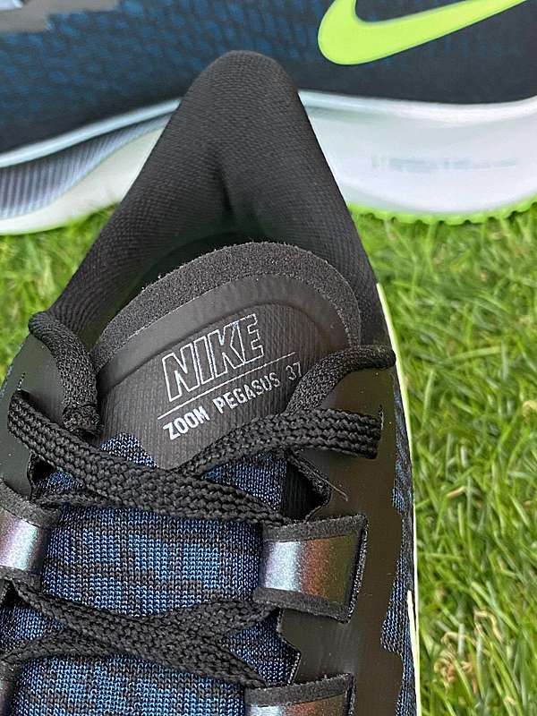 pegasus zoom 37