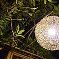 P1000555.JPG