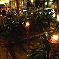 P1000564.JPG