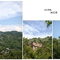 桐花漫遊-5.jpg