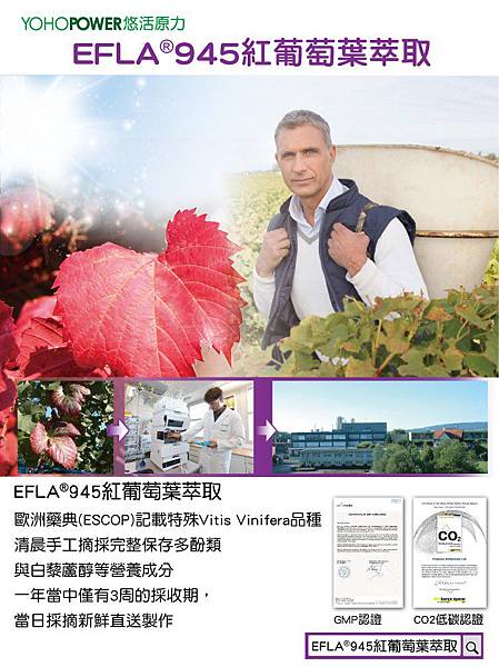 雙專利益生菌-15