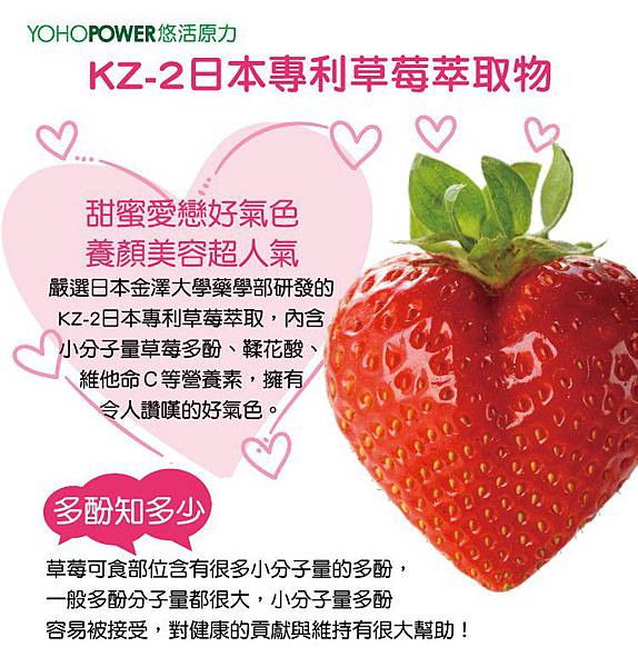 雙專利益生菌-13