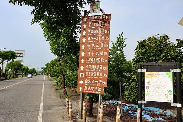 白河蓮花阿勃勒一日遊推薦！體驗剝蓮子、坐大王蓮、吃蓮子冰，順