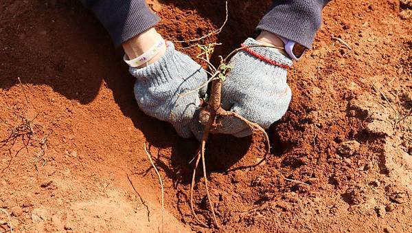 金門農遊小旅行！推薦7條特色玩法，帶你深度玩農村
