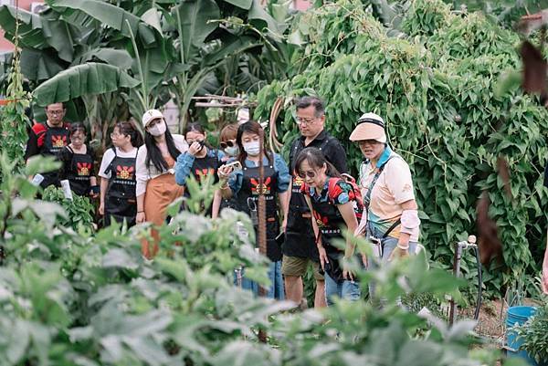 2025農遊金門｜從黑豆胡椒包到風雞聚落，玩出最在地的島嶼日